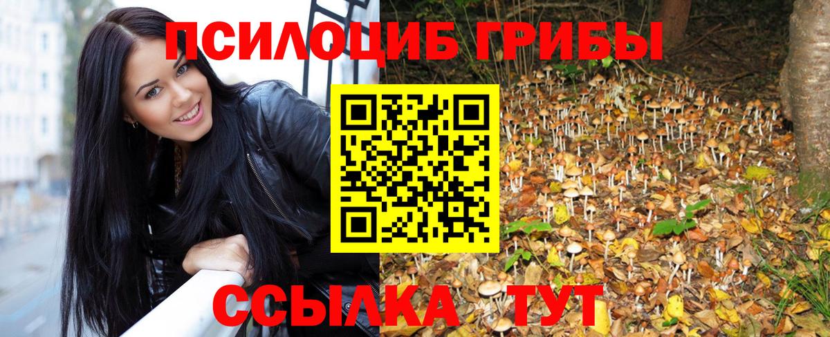 Псилоцибиновые грибы GOLDEN TEACHER Асино