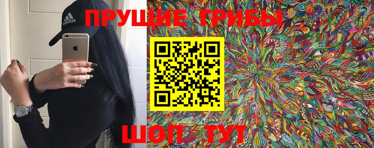 Галлюциногенные грибы Psilocybe  Вход с VPN  Асино  Псилоцибиновые грибы Psilocybe 